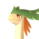 Braloha Pal image