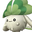 Clovee Pal image