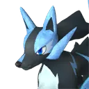 Rayhound Cryst Pal image