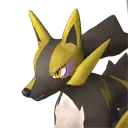 Rayhound Pal image