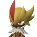 Robinquill Terra Pal image